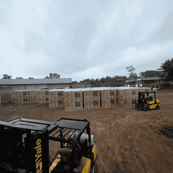 Palés de módulos fotovoltaicos apilados en un patio, con dos montacargas al primer plano y naves industriales al fondo